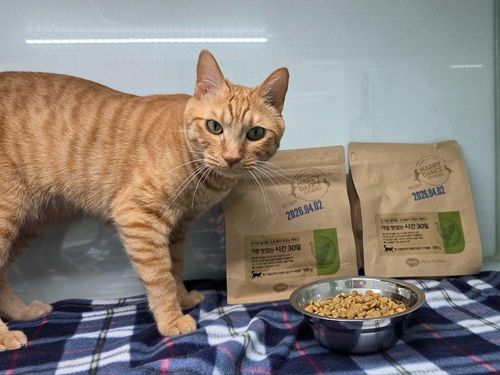 슬라이드 이미지