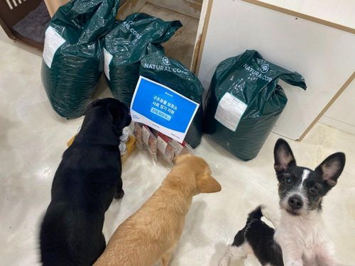 슬라이드 이미지