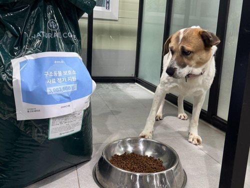 슬라이드 이미지