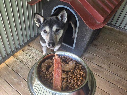 슬라이드 이미지