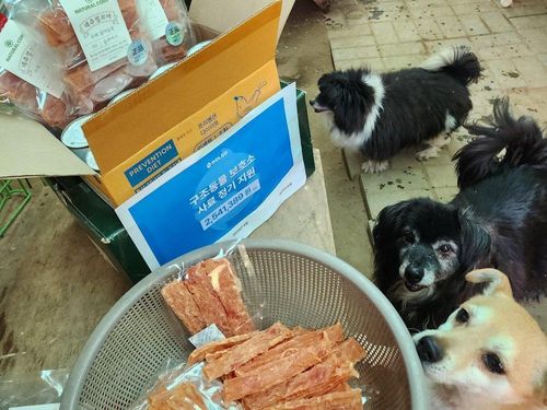 슬라이드 이미지