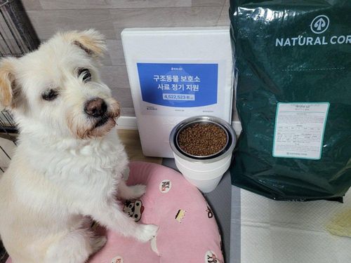 슬라이드 이미지