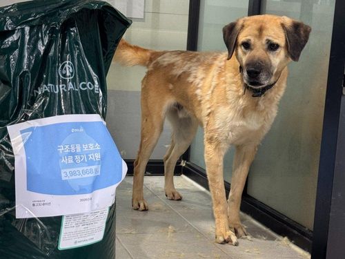 슬라이드 이미지