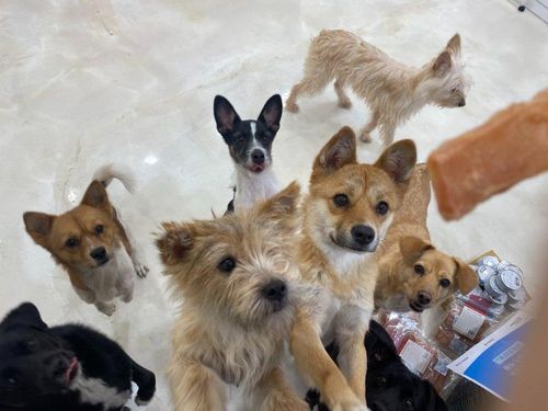 슬라이드 이미지