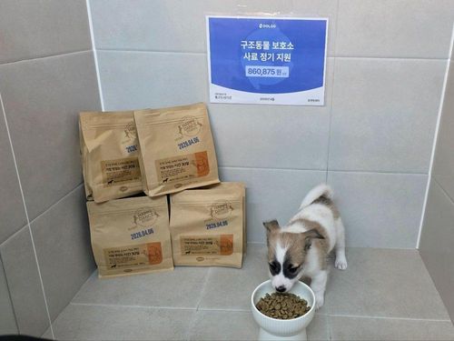 슬라이드 이미지