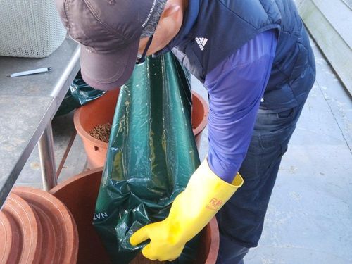 슬라이드 이미지