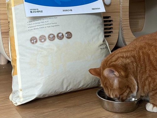 슬라이드 이미지