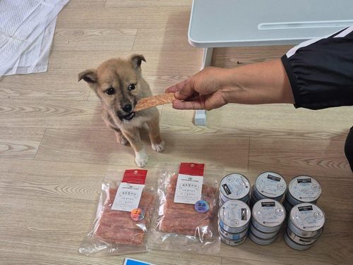 슬라이드 이미지