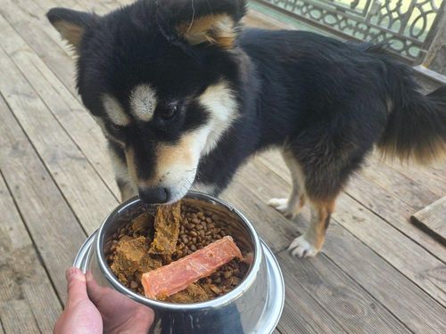 슬라이드 이미지