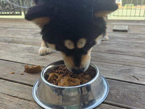 슬라이드 이미지