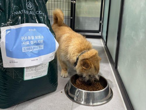 슬라이드 이미지