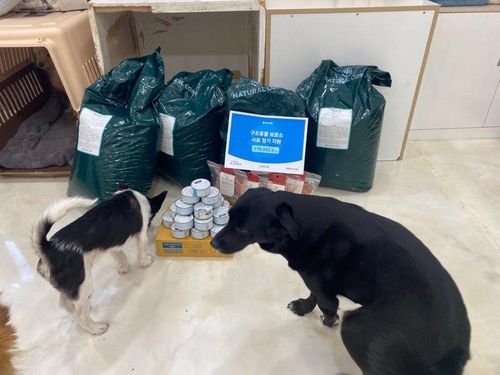 슬라이드 이미지