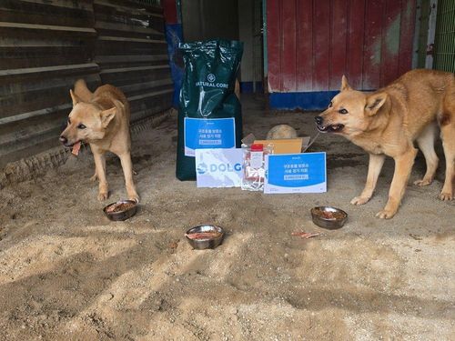 슬라이드 이미지