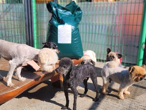 슬라이드 이미지