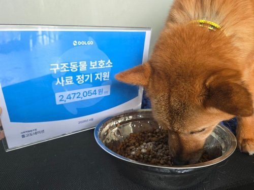 슬라이드 이미지