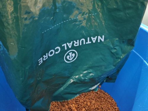 슬라이드 이미지