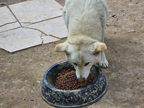 슬라이드 이미지