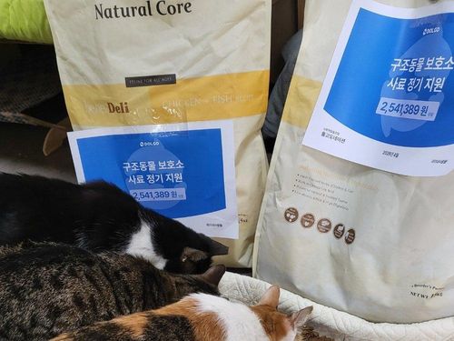 슬라이드 이미지