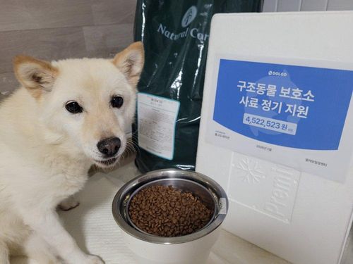 슬라이드 이미지