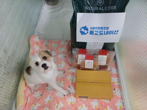 슬라이드 이미지