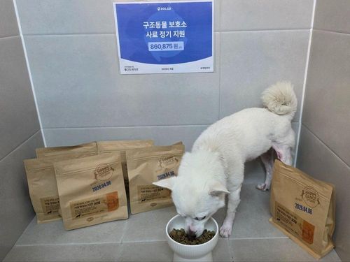 슬라이드 이미지