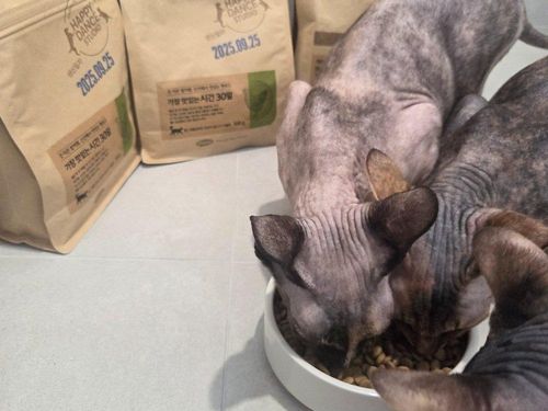 슬라이드 이미지