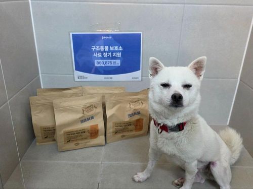 슬라이드 이미지