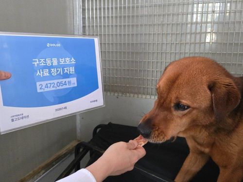 슬라이드 이미지