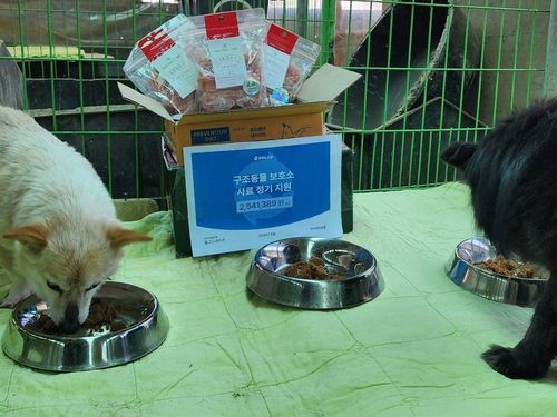 슬라이드 이미지