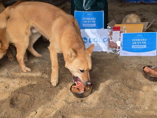 슬라이드 이미지