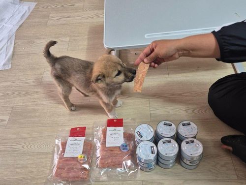 슬라이드 이미지