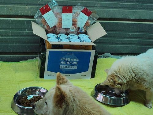 슬라이드 이미지