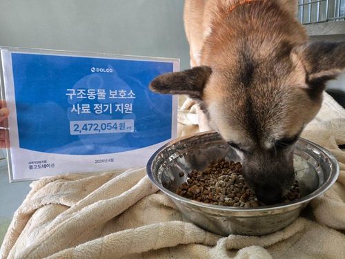 슬라이드 이미지