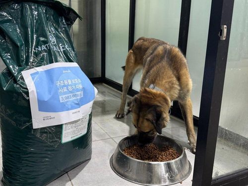 슬라이드 이미지