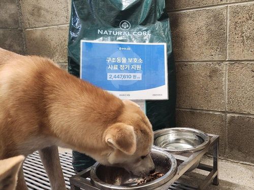 슬라이드 이미지