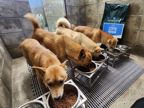 슬라이드 이미지