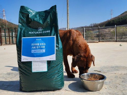 슬라이드 이미지