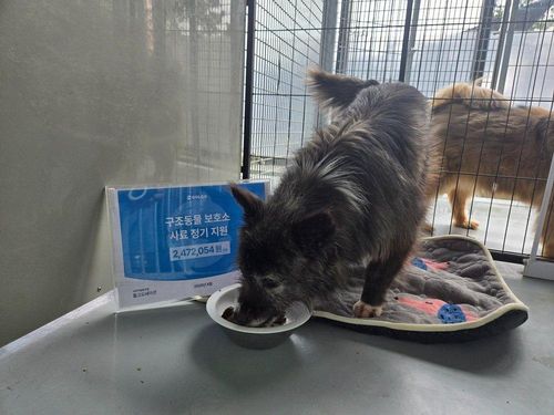 슬라이드 이미지