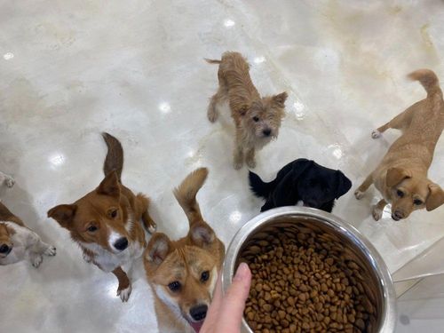 슬라이드 이미지