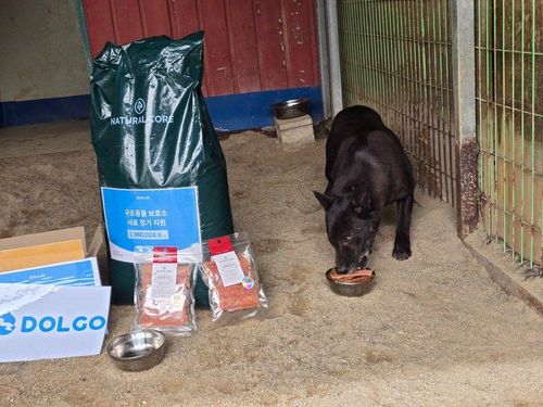 슬라이드 이미지