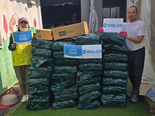 슬라이드 이미지