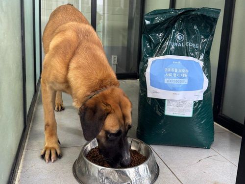 슬라이드 이미지