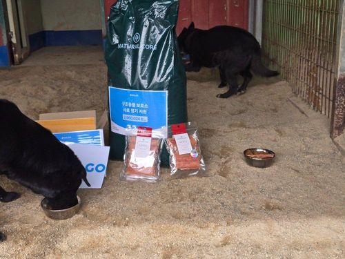 슬라이드 이미지