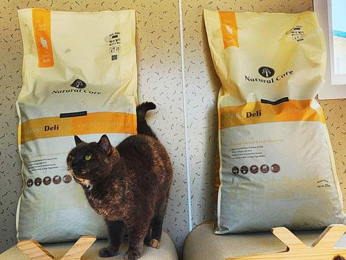 슬라이드 이미지