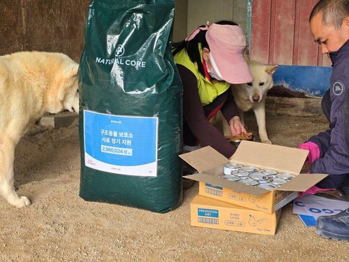 슬라이드 이미지