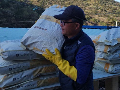 슬라이드 이미지