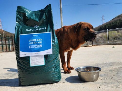 슬라이드 이미지