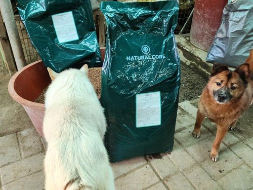 슬라이드 이미지