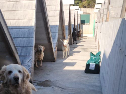 슬라이드 이미지