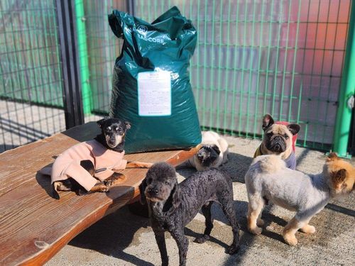 슬라이드 이미지